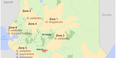 Kenya institute of survey and mapping fee structure